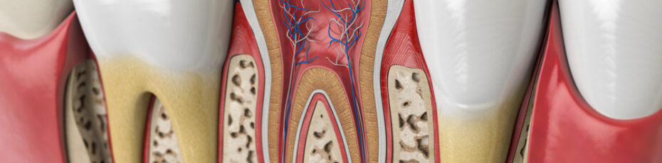 Do Root Canals Cause Pain or Illness Separating Fact from Fiction