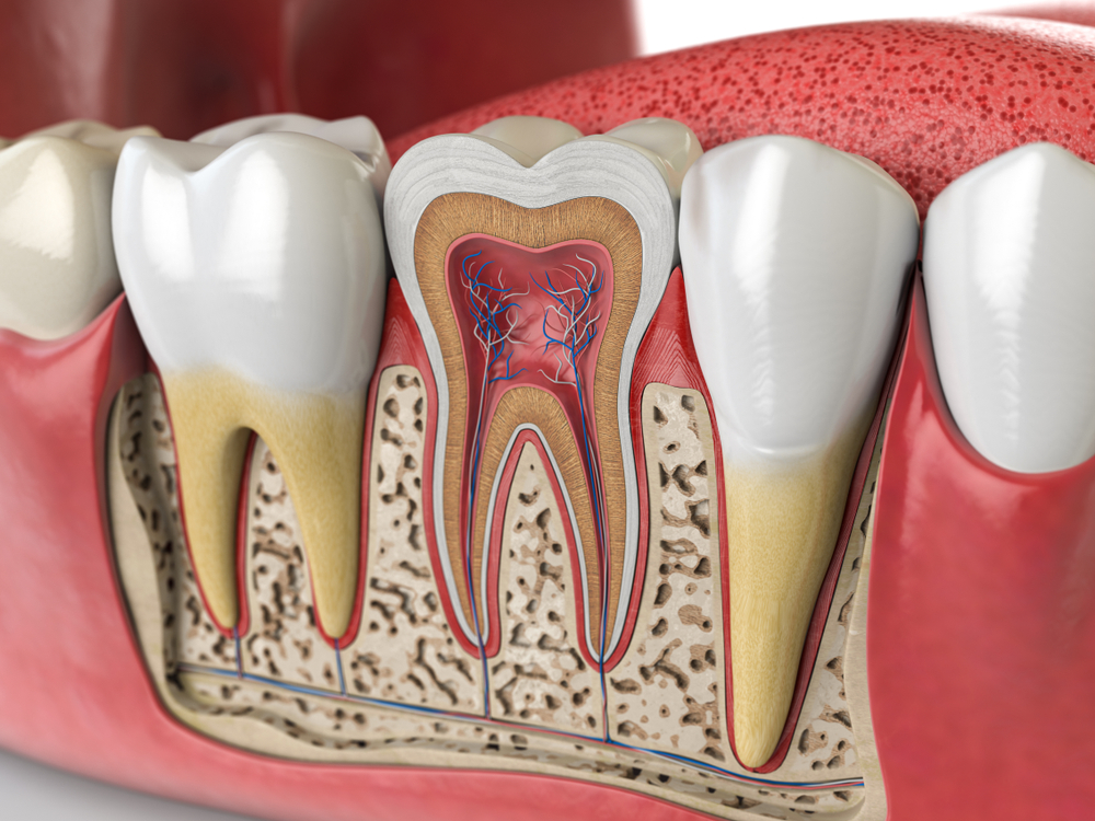 Do Root Canals Cause Pain or Illness Separating Fact from Fiction